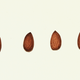 Illustration for article titled FDA commissioner: “An almond doesn’t lactate”